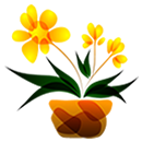 Maceta de plasticos Decorativas Maceta de plasticos Decorativas